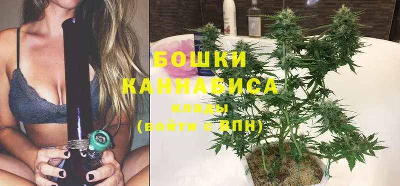 Канабис Bruce Banner  Дубна 